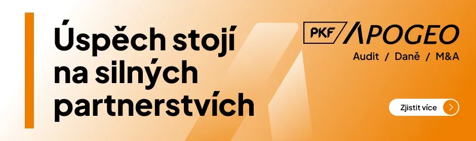 PKF APOGEO - detaily článků