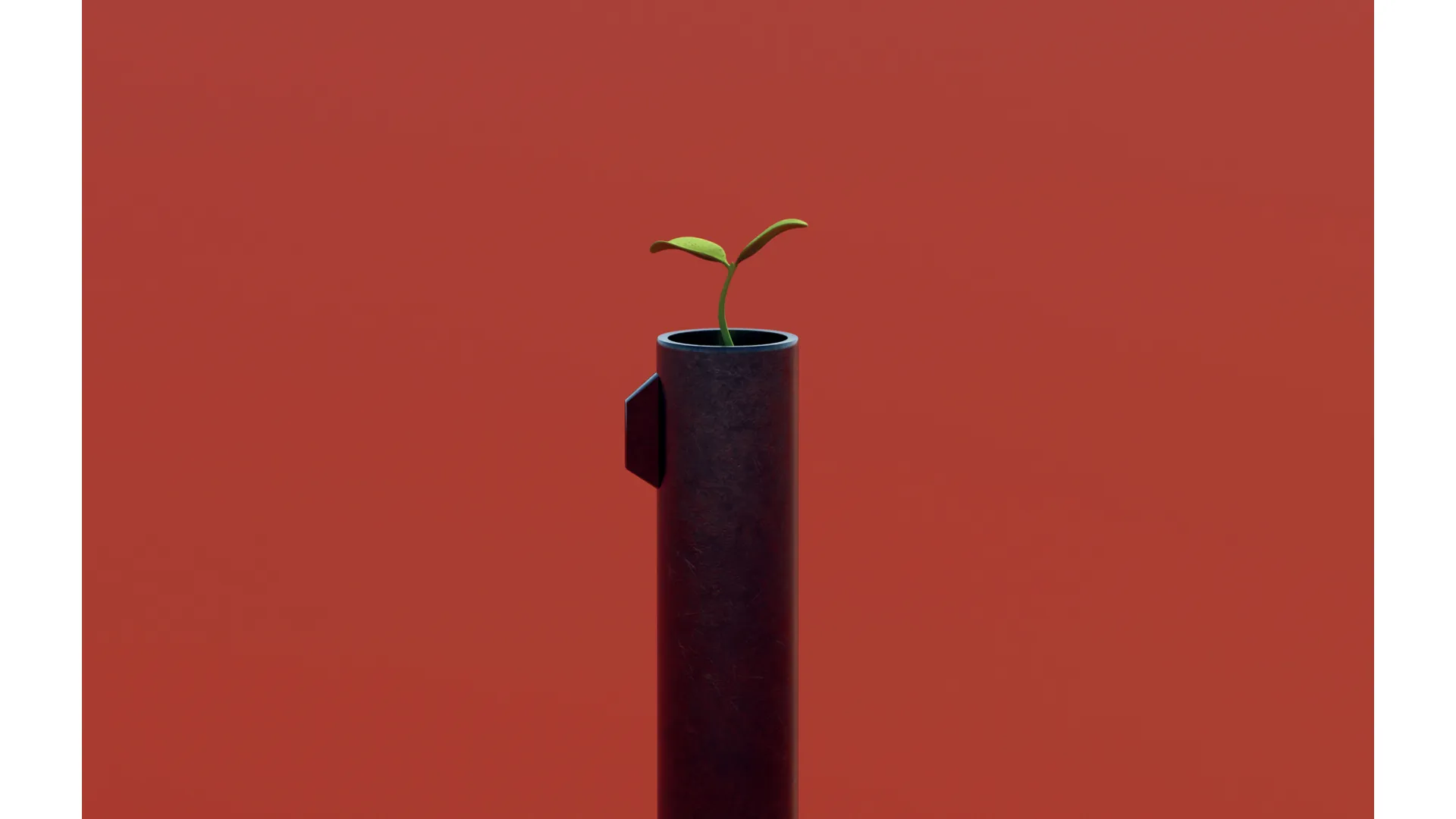 Zbraně, růst a zeleň